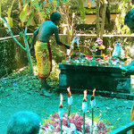 Ambalavattam Temple; Thalassery; Kerala; India; Naga Pooja; outdoor; pooja; uasatish; http://ambalavattamtemple.com;