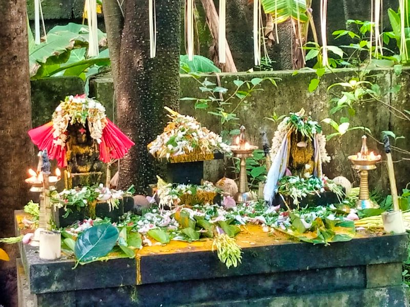 Naga Devas; Ambalavattam Temple; Thalassery: Tellicherry; Kerala; uasatish; Naga Pooja 2020;
