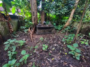 Naga Devas; Ambalavattam Temple; Thalassery; uasatish;