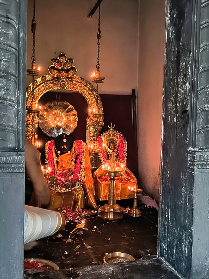 Naga Pooja 2025; Ambalavattam Temple; Thalassery; Kerala; India