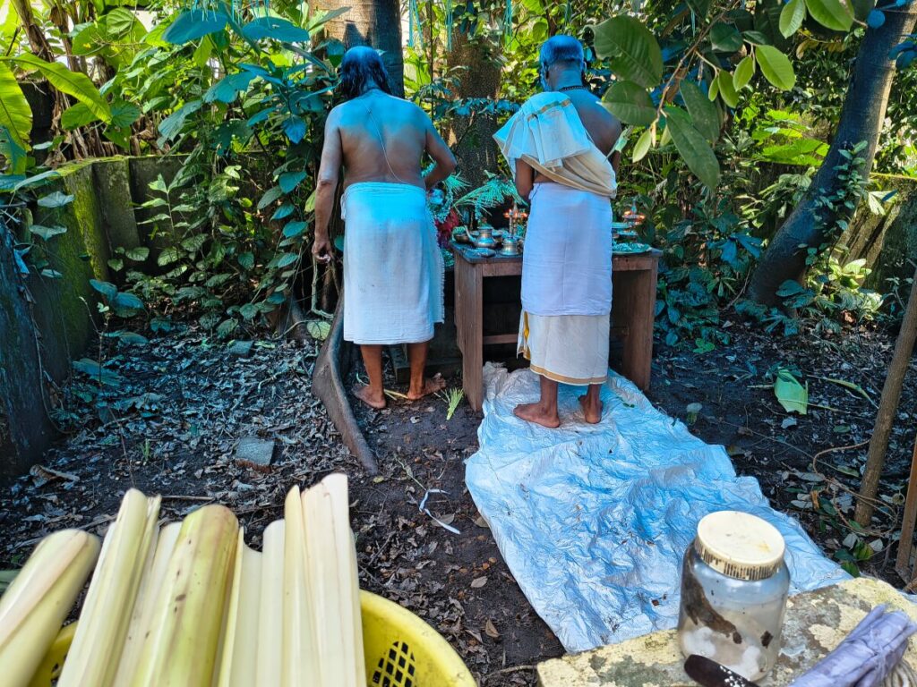 Naga Pooja; Ambalavattam Temple; Kerala; uasatish;