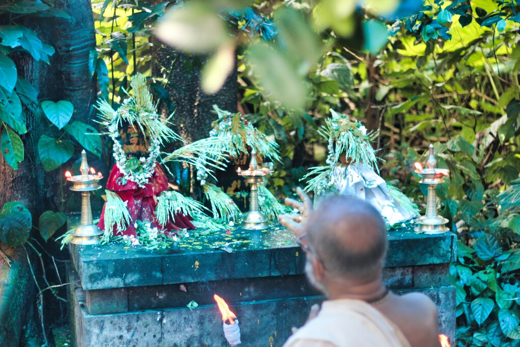 Naga Pooja 205; Noorum Palum; Ambalavattam Temple; Kerala; uasatish;
